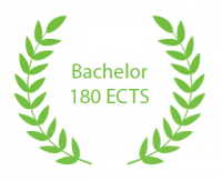 Illustration de la formation BAC + 3 / LSIO